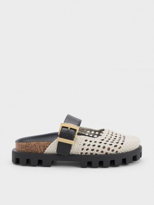 Mules Charles & Keith Woven Buckled Plati Albi | 976PCUJBV