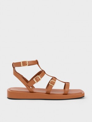 Sandale Plate Charles & Keith Buckled Gladiator Maro | 579OPNDAB