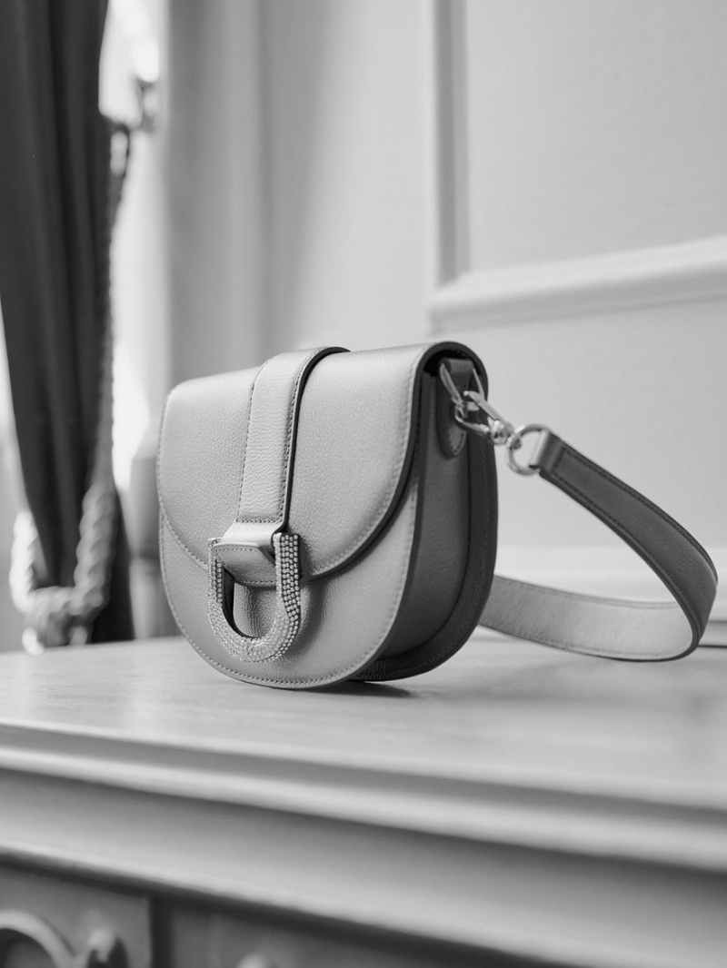 Genți De Șa Charles & Keith Mini Gabine Piele Argintii | 274QENYGP