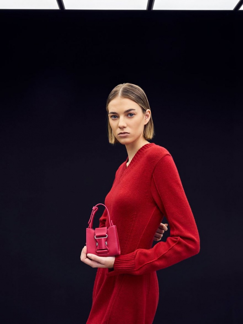 Genti Mini Charles & Keith Ivy Top Handle Rosii | 649RIFLKG