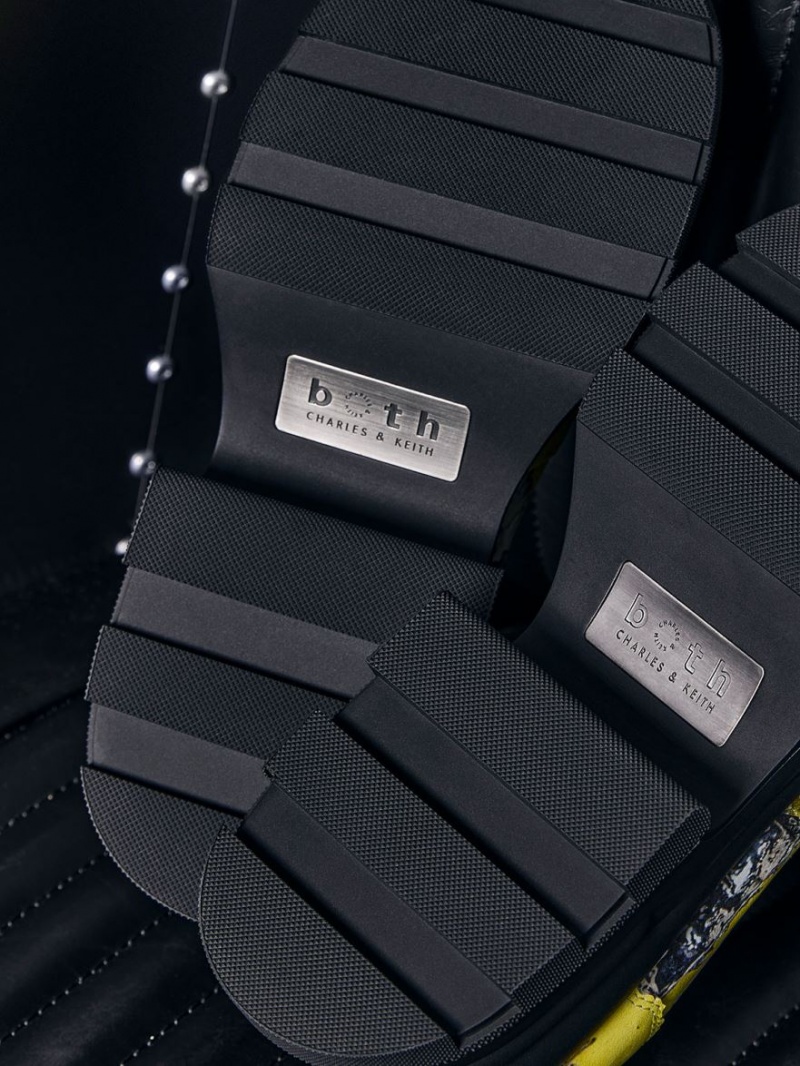 Mocasini Charles & Keith Jules Platforma Buckled Colorati | 064HYEOJB