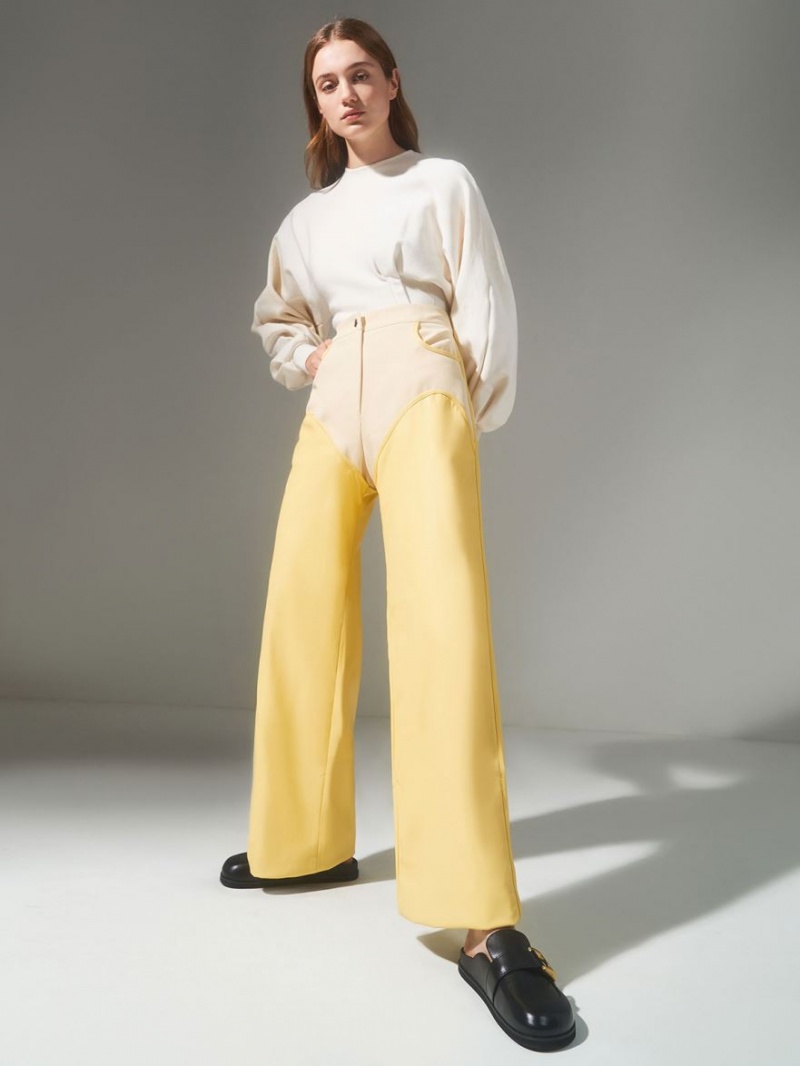 Mules Charles & Keith Gabine Buckled Piele Loafer​ Negrii | 781EBRDFO