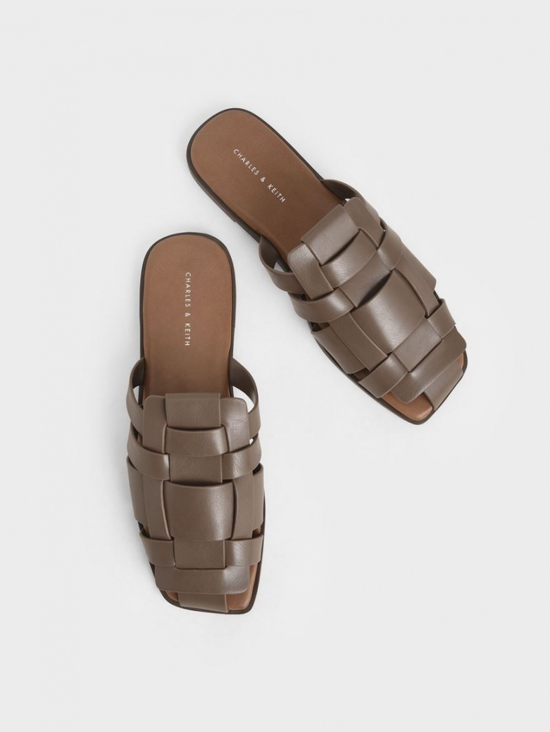 Mules Charles & Keith Woven Plati Maro Inchis | 840LENCDQ