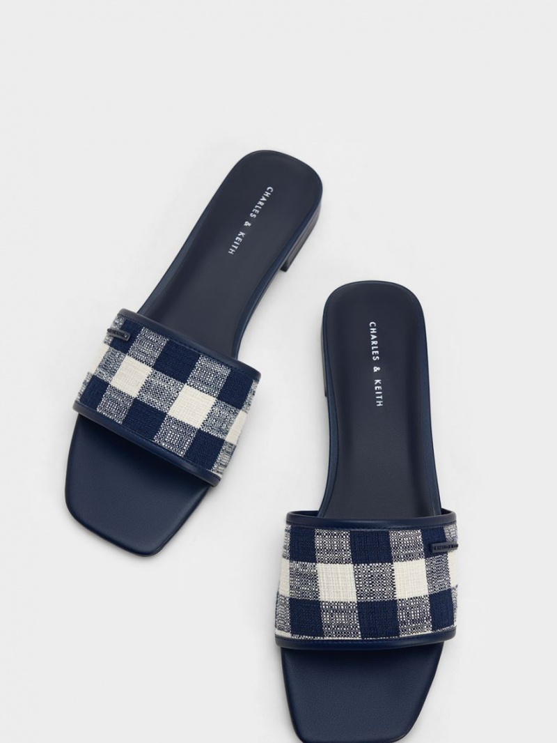 Sandale Plate Charles & Keith Woven Gingham Albastri Inchis | 397MONYIX
