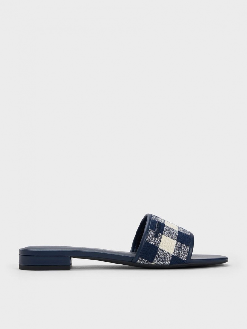 Sandale Plate Charles & Keith Woven Gingham Albastri Inchis | 397MONYIX